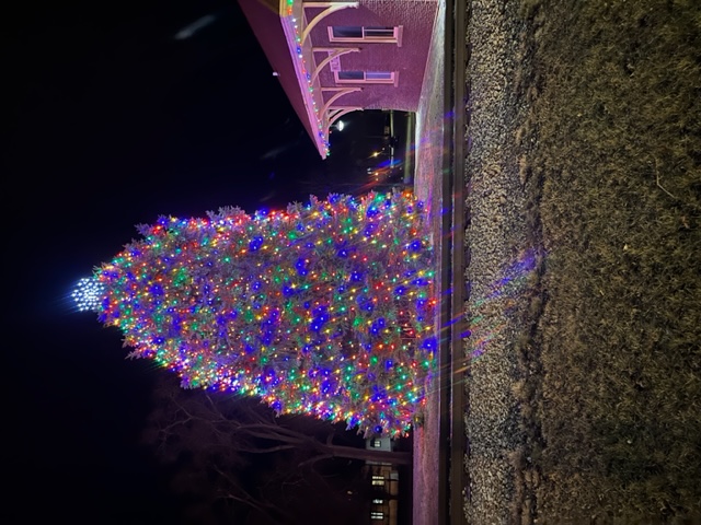 Community Christmas Tree